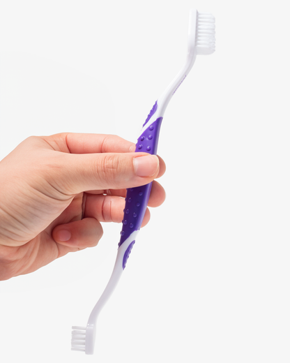 Professional Toothpaste for Dogs & Cats: Rotisserie Chicken Flavor with Pet Toothbrush