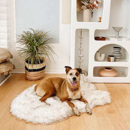 PupRug™ Faux Fur Orthopedic Dog Bed - Curve White with Brown Accents