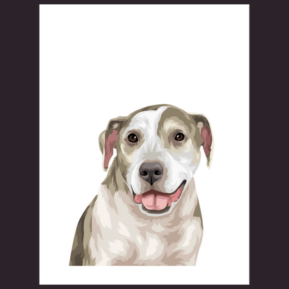 Custom Pet Stickers