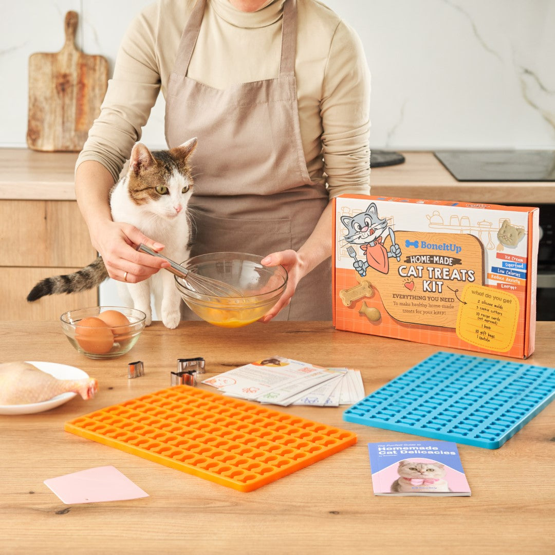 BoneItUp® Cat Edition Homemade Treats Kit