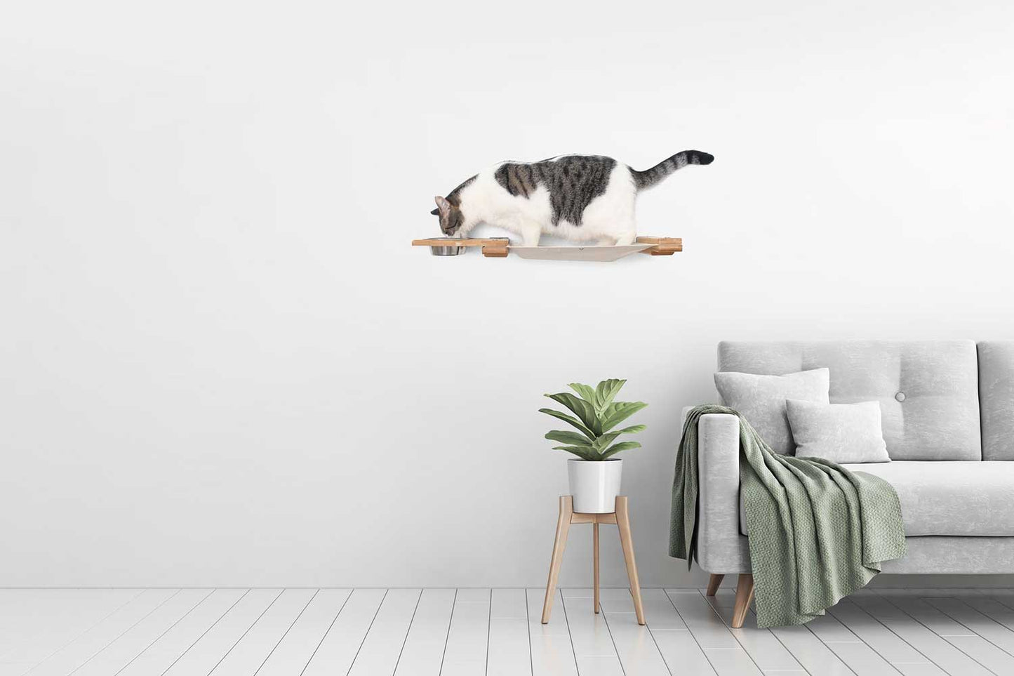 Dog Proof Cat Feeder - Wall-Mounted - Raised