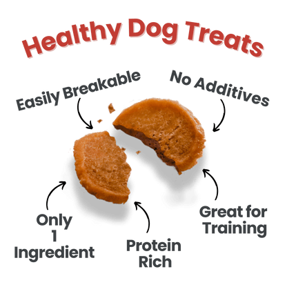 Puppy Packs 'N Snacks Dog Treat Starter