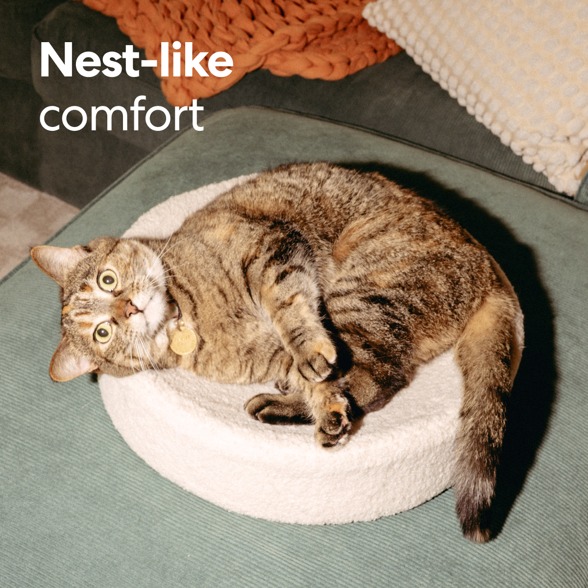 Kip Cat Bed