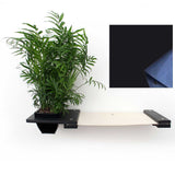 Onyx Bamboo/Charcoal Gray Canvas