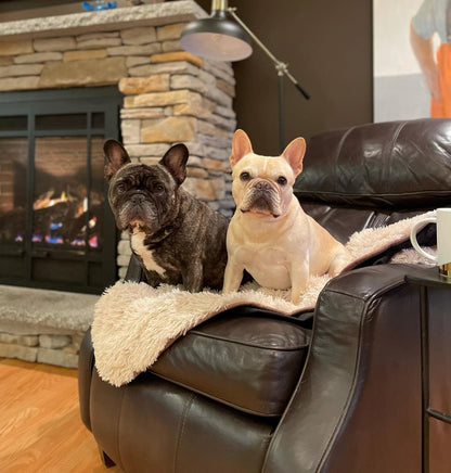 PawProof Throw Blanket