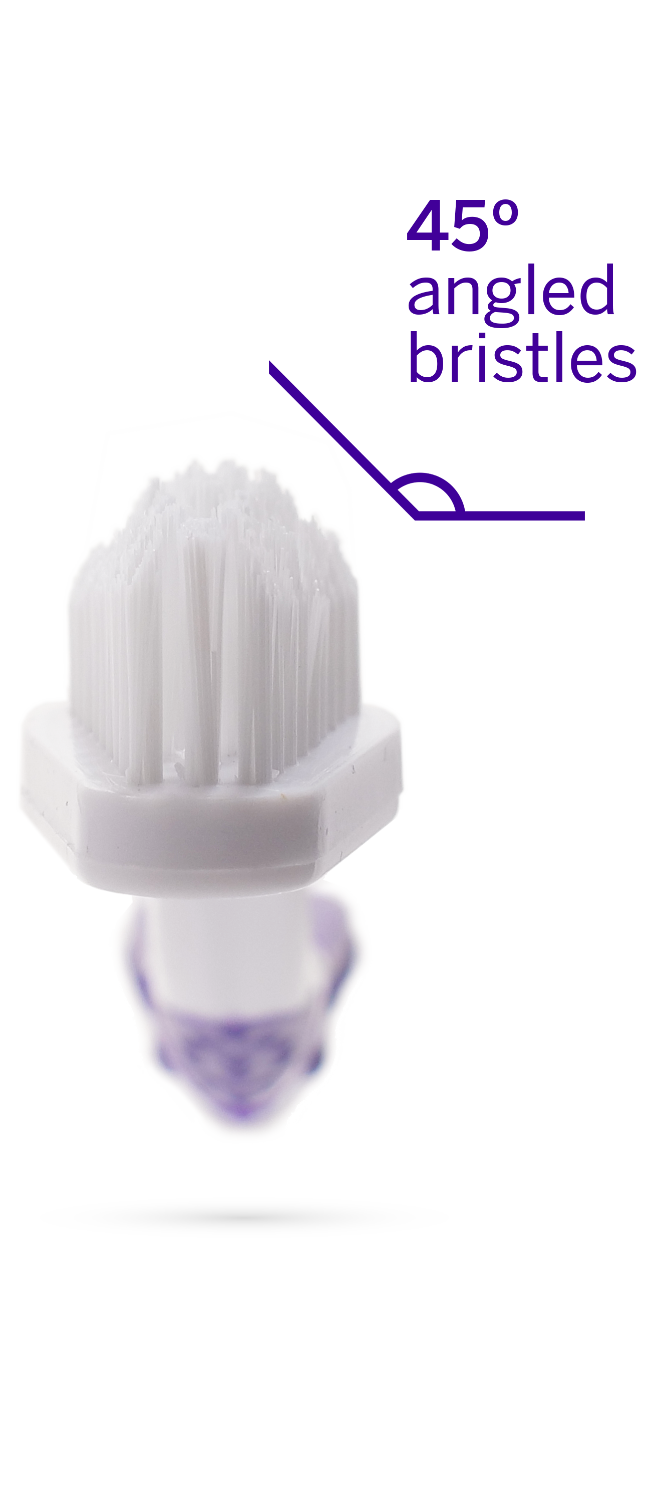 Professional Toothpaste for Dogs & Cats: Rotisserie Chicken Flavor with Pet Toothbrush