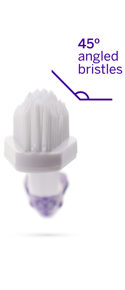 Professional Toothpaste for Dogs & Cats: Rotisserie Chicken Flavor with Pet Toothbrush
