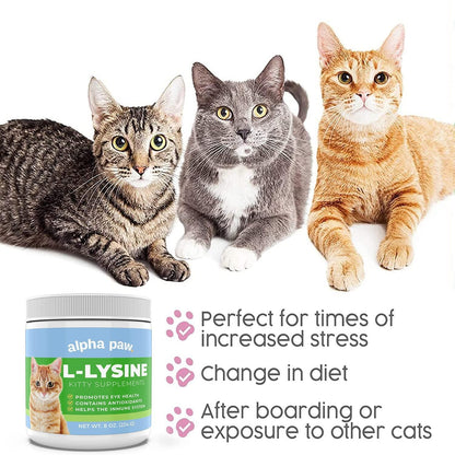 Cat L-Lysine