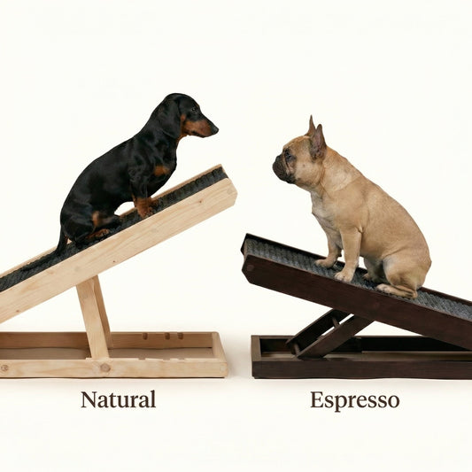 PawRamp – The #1 Vet-Recommended Way to Protect Your Dog’s Back & Joints