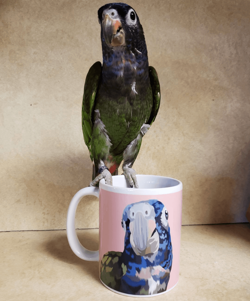 Custom Pet Coffee Mug