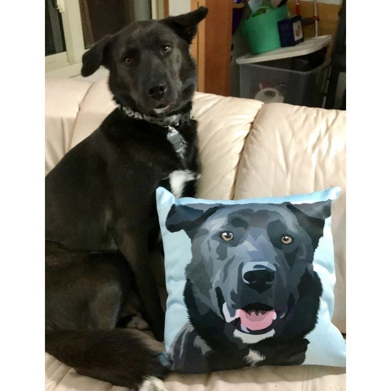 Custom Pet Couch Pillow with Cover
