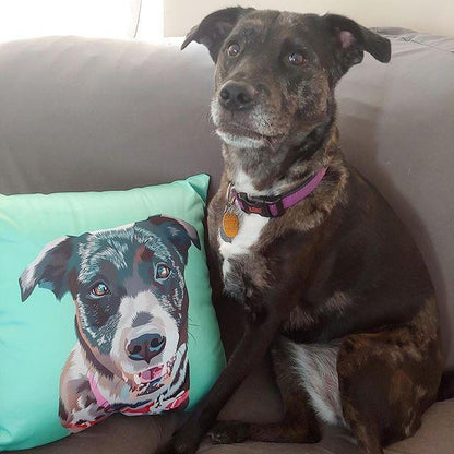 Custom Pet Couch Pillow with Cover