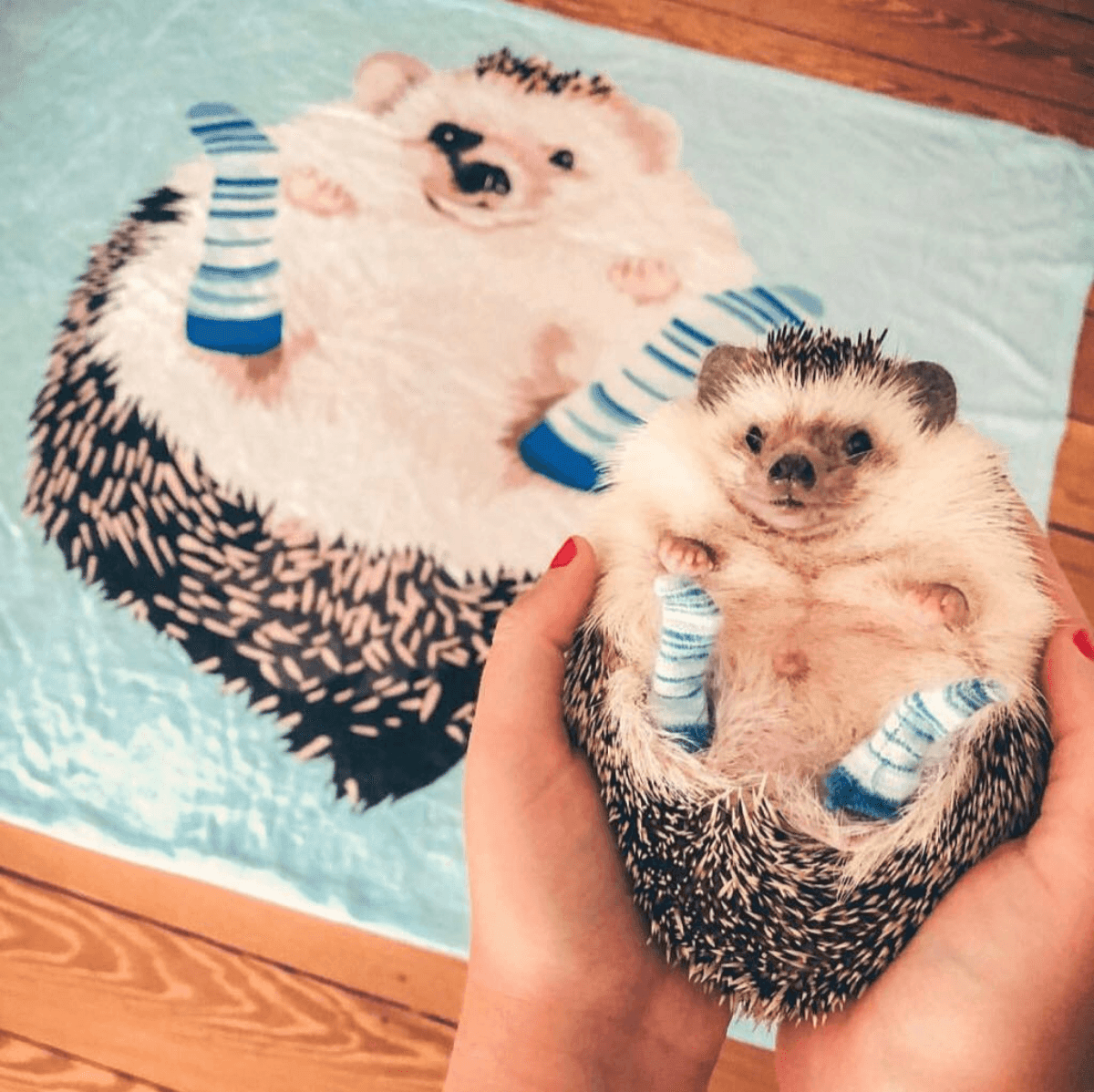 Personalized Pet Photo Blanket - Create Your Own Custom Fleece Design with Live Preview & Editor