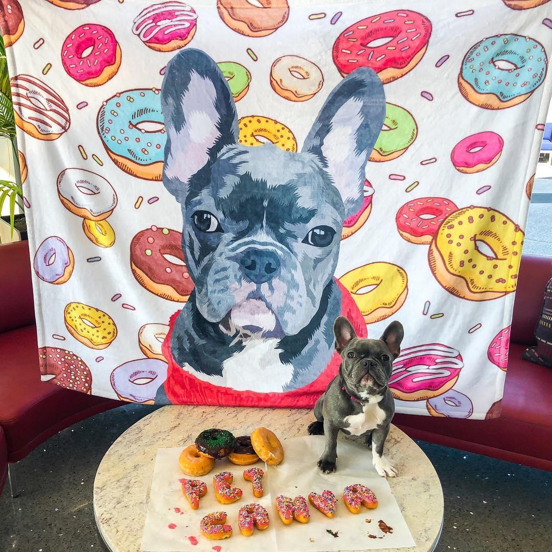 Personalized Pet Photo Blanket - Create Your Own Custom Fleece Design with Live Preview & Editor
