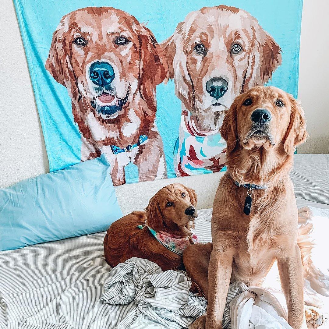 Personalized Pet Photo Blanket - Create Your Own Custom Fleece Design with Live Preview & Editor