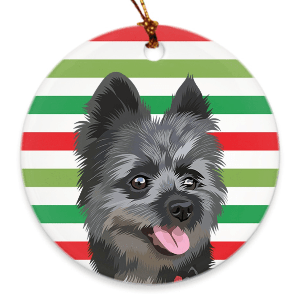 Custom Pet Ornament
