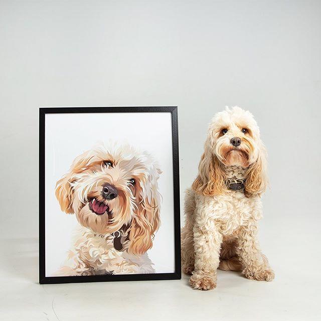 Custom Pet Poster