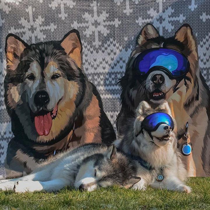 Custom Pet Sherpa Blanket
