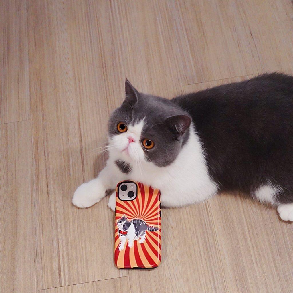 Custom Pet Snap Case