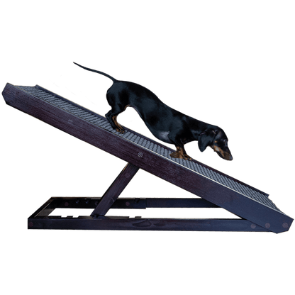 DachRamp™ - The #1 Vet-Recommended Way to Protect Your Dachshund's Back & Joints