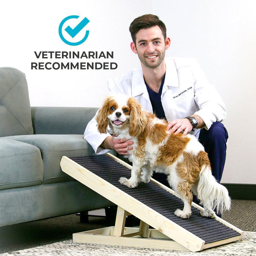 DachRamp™ - The #1 Vet-Recommended Way to Protect Your Dachshund's Back & Joints