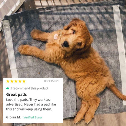 Magic Pee Pads XL