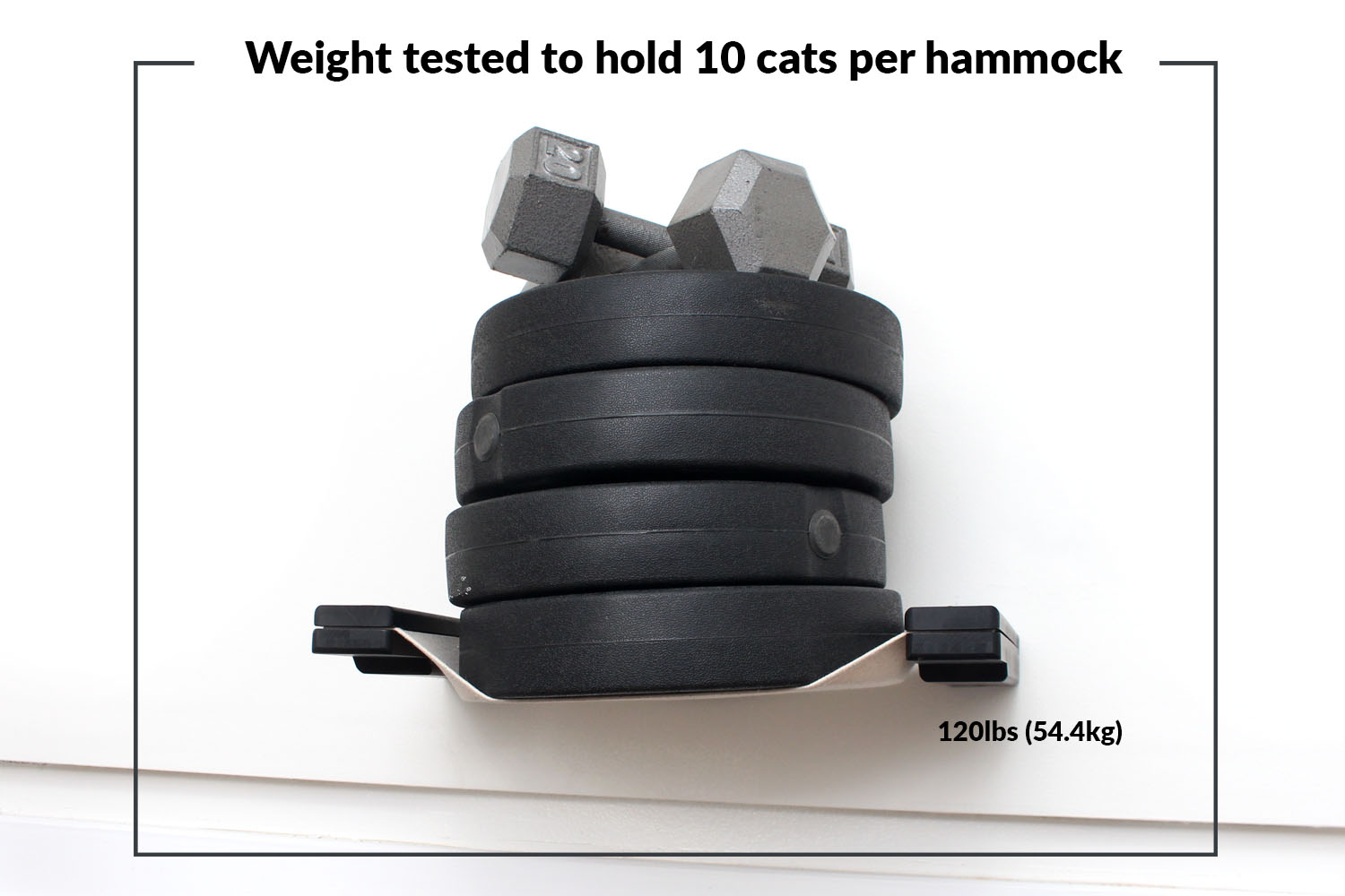 Dog Proof Cat Feeder - Wall-Mounted - Raised